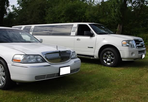 White limousines lined up
